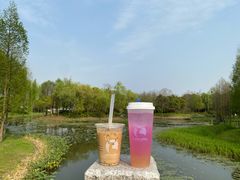 -尚贤河湿地