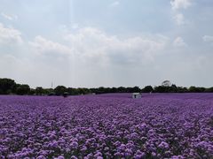 -上海杨姆庄园