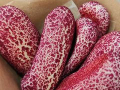 -多乐之日(五道口店)