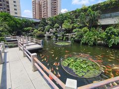 -桃园盛宴·岭南粤菜·手工茶点(南庄店)