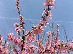 -北京鹫峰国家森林公园