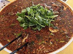 -胖大姐黄辣丁鱼庄(新津店)