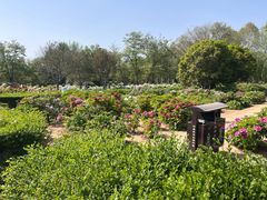 -洛阳市隋唐城遗址植物园