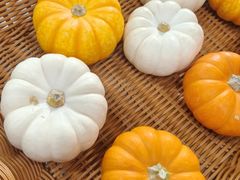 -麦盛莉大酒店·宴会厅(崇明南门如庭酒店)