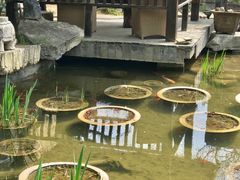-聚缘堂·海鲜私房菜(松岭路店)