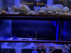 -家贺屋刺身寿司专门店