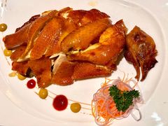 -新同乐鱼翅酒家(美丽华店)