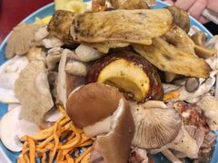 -菌之家·专业纯野生菌火锅·特色炒菌