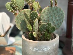 -METAL HANDS(五道营店)