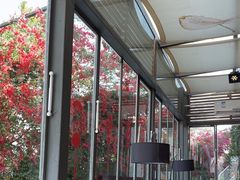 -怡得观滇餐厅·地道昆明菜·1996(海埂大坝店)
