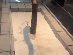 -喜茶(深圳万象城黑金店)