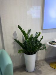 -安徽合肥韩美整形外科医院