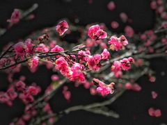 -径山寺