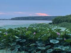 -丁香湖公园