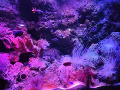 -郑州海洋馆