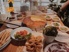 -青瓷火锅料理(西单大悦城店)