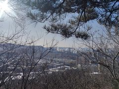 -望溪公园