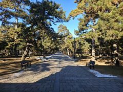 -沈阳市东陵公园