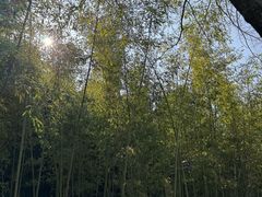 -苏州环秀晓筑养生度假村
