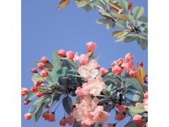 -龙虾奇迹泥炉烤肉(大华三路店)