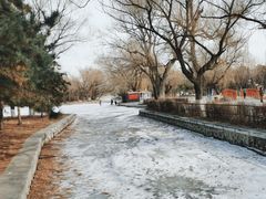 -北陵公园