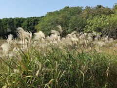 -良渚古城遗址公园
