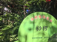 -海南热带野生动植物园