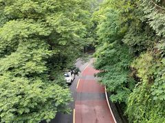 -南山植物园