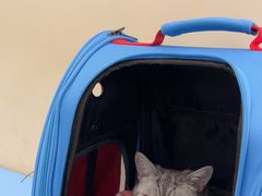 -萌兽医馆·犬猫专科·眼科中心·宠物医院(朝阳门分院)