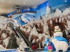 -湘江欢乐城欢乐雪域