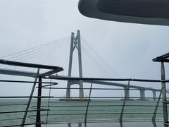 -招商蛇口邮轮母港(观光客运)