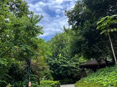 -神光山国家森林公园