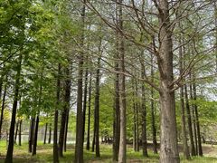 -梁鸿国家湿地公园