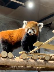 -Zoolung Zoolung动物主题公园(海信广场店)