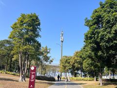 -宝安西湾红树林湿地公园