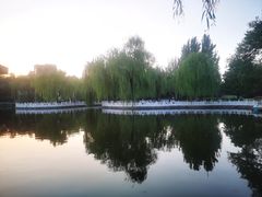 -丰台花园