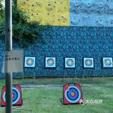 6张项目券只要99元