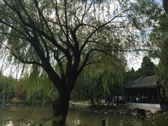 -瀛洲公园