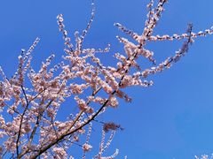 -吉林大学(前卫南区)