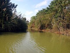 窄路-梁鸿国家湿地公园