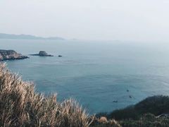 -枸杞岛