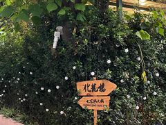 -化龙桥九宫格火锅(清水河店)