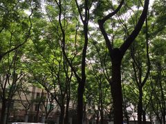 -Cactus墨西哥仙人掌餐厅