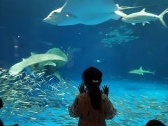 -鹿儿岛水族馆