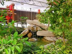 -南宫五洲植物乐园