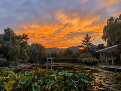 -国家植物园南园