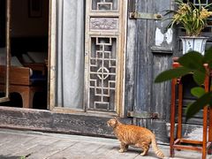 -古今茶语·峨眉山有机茶体验馆