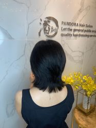 -潘多拉Hairsalon