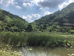 -桃花岭景区
