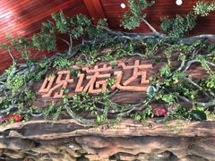-呀诺达热带雨林